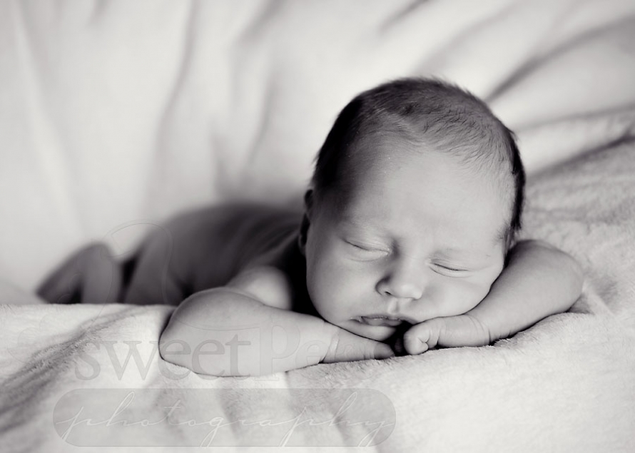 savoy_newborn_photographer081709