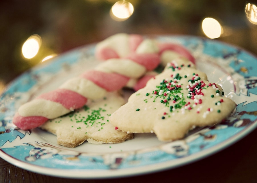 champaign_urbana_photographer122909