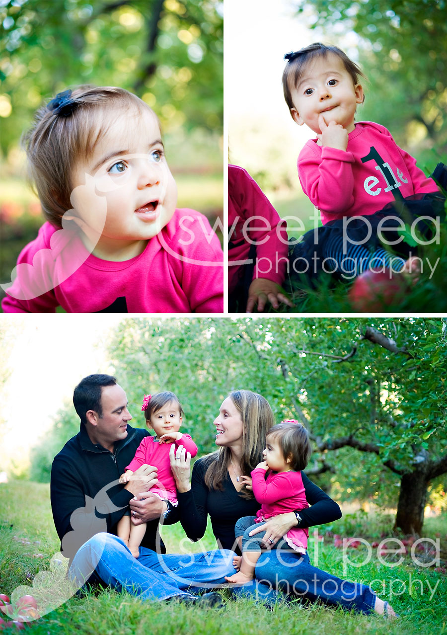 champaign_family_photographer100710