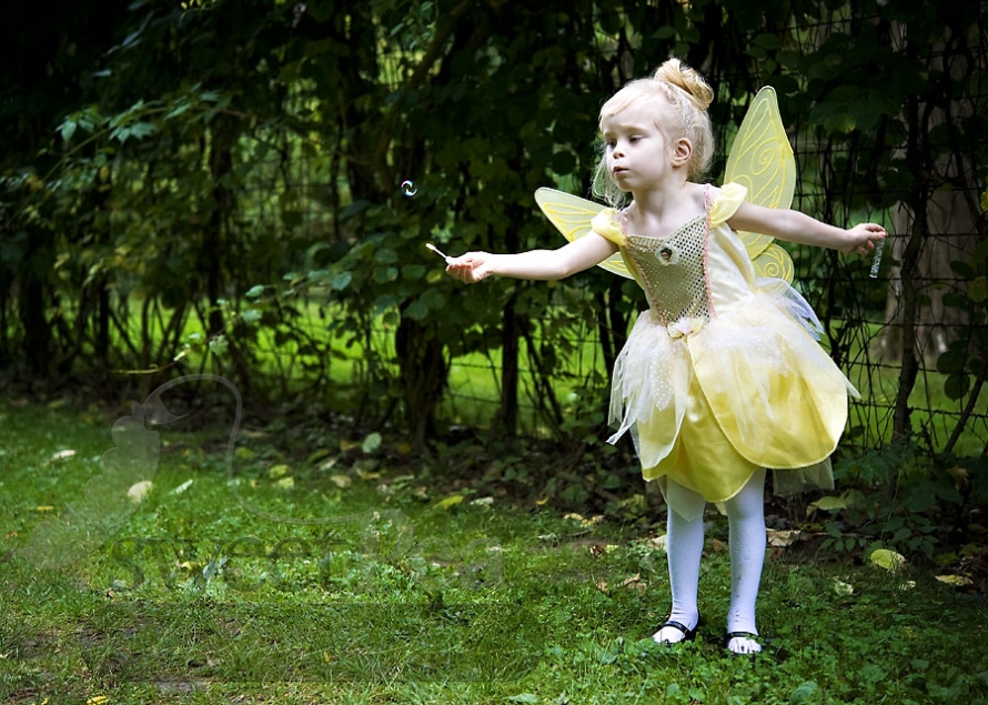 fairy princess | monticello child photographer » champaign – urbana ...